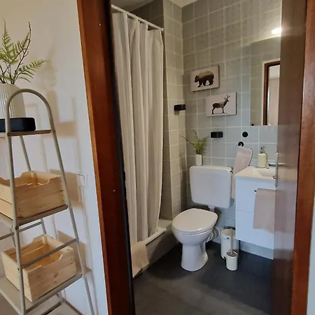 Appartamento Cozy Schwarzwaldnest Fuer 2! *