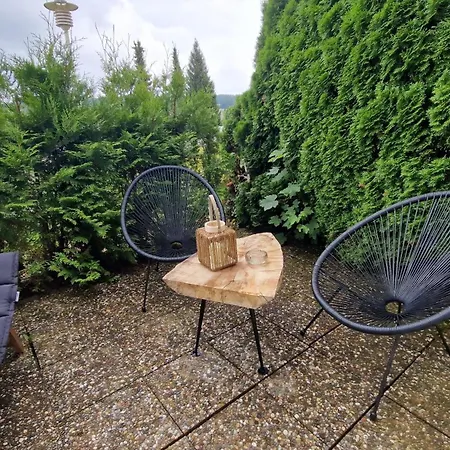 Apartment Schwarzwaldnest Mit Sauna & Pool