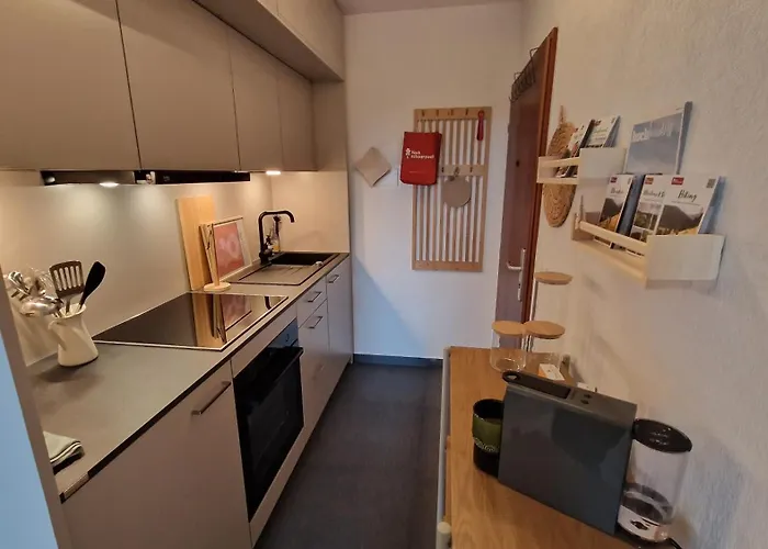 Schwarzwaldnest Mit Sauna & Pool Apartment *