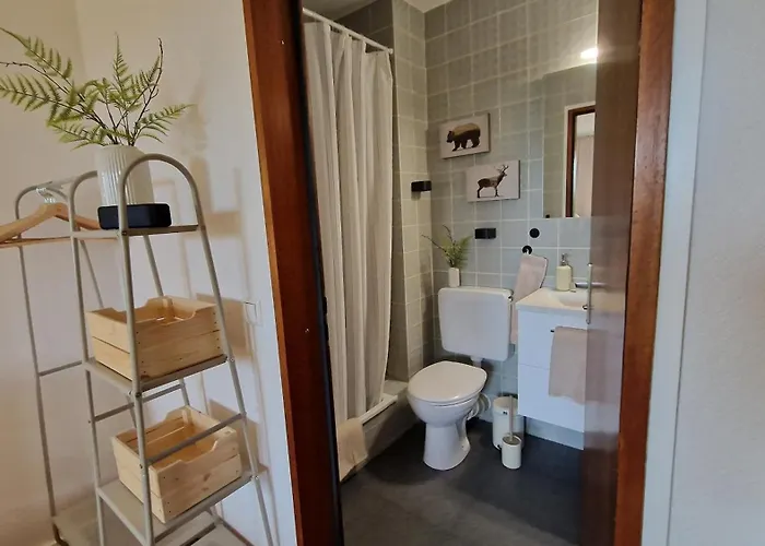 Apartment Schwarzwaldnest Mit Sauna & Pool *